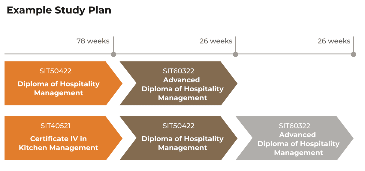 Study Plan