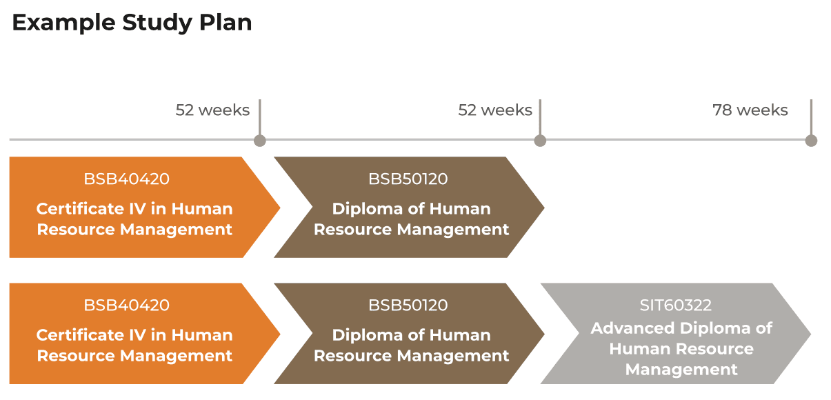 Study Plan